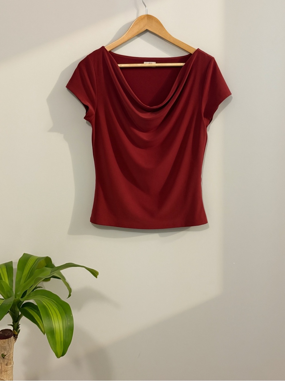 Aritzia Draped Cowl Neck Top